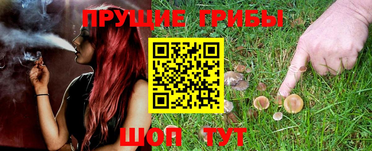 Воркута  Псилоцибиновые грибы прущие грибы  Вход с VPN 
