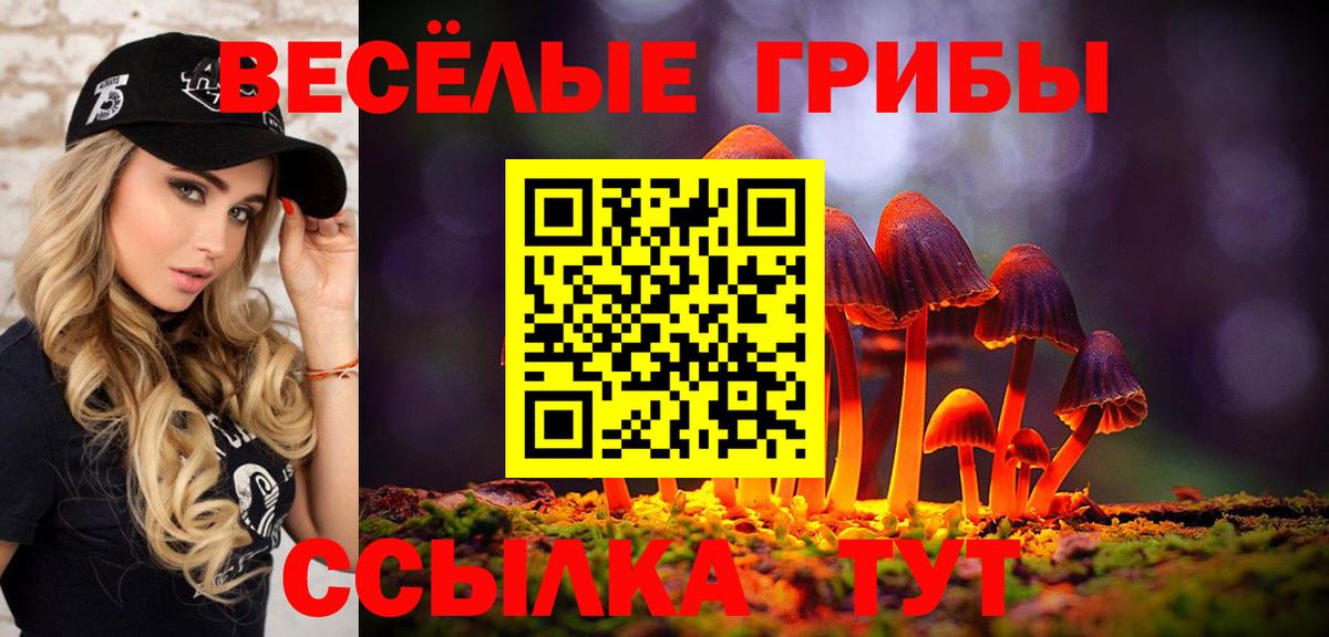 Галлюциногенные грибы прущие грибы Воркута